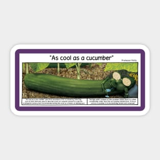 Cool as a cucumber Sticker